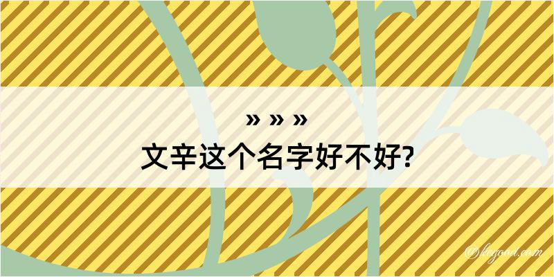 文辛这个名字好不好?