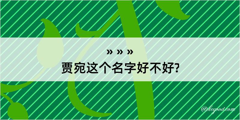 贾宛这个名字好不好?