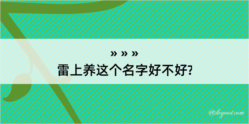 雷上养这个名字好不好?