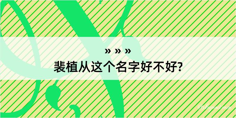 裴植从这个名字好不好?