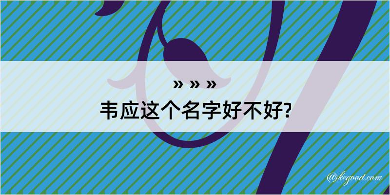 韦应这个名字好不好?