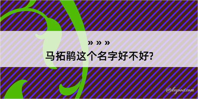 马拓鹃这个名字好不好?