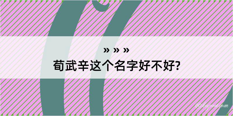 荀武辛这个名字好不好?