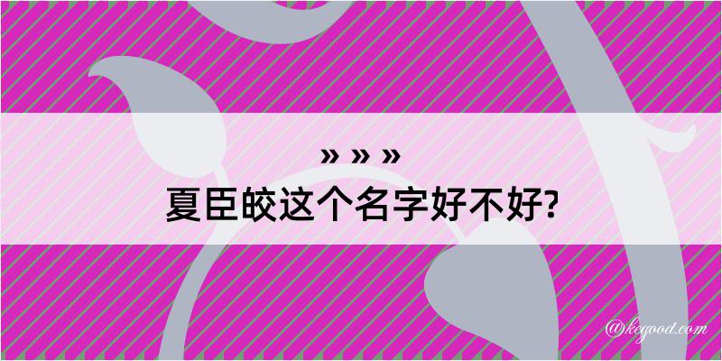 夏臣皎这个名字好不好?