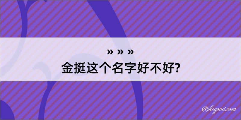 金挺这个名字好不好?