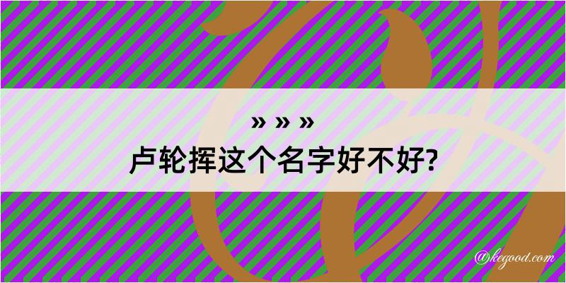 卢轮挥这个名字好不好?