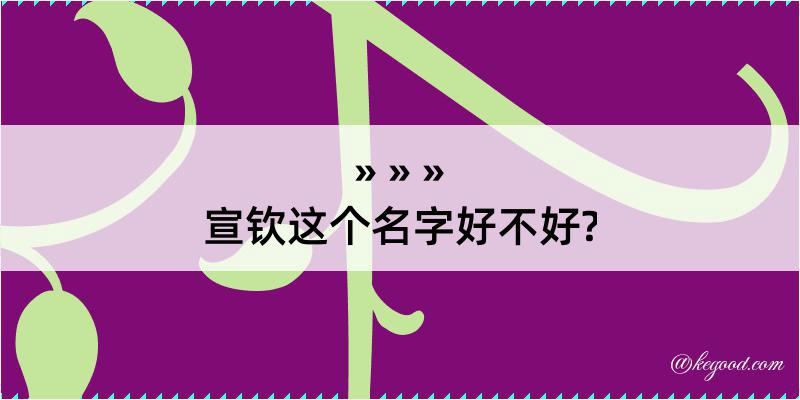 宣钦这个名字好不好?