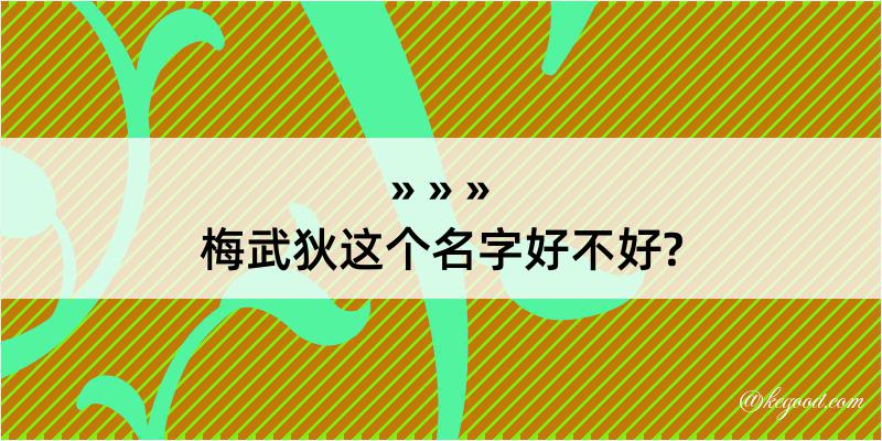 梅武狄这个名字好不好?