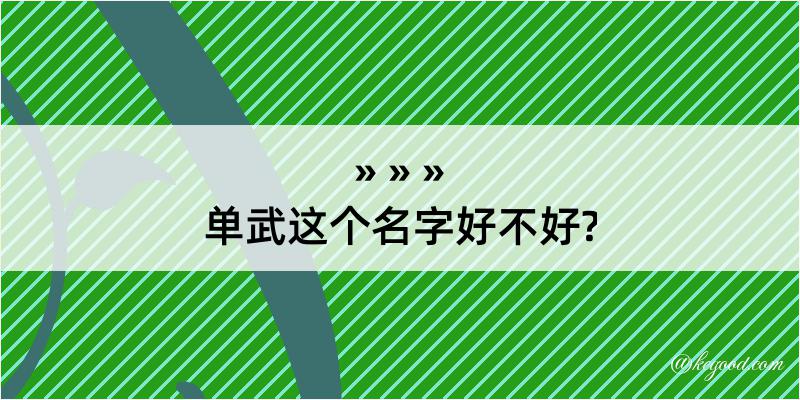 单武这个名字好不好?