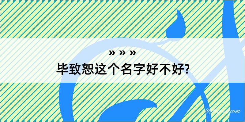 毕致恕这个名字好不好?