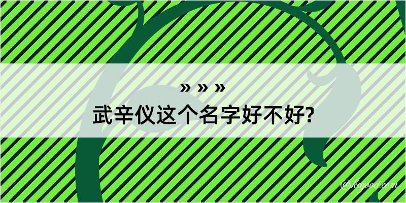 武辛仪这个名字好不好?