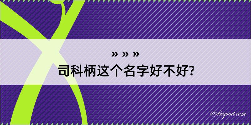 司科柄这个名字好不好?