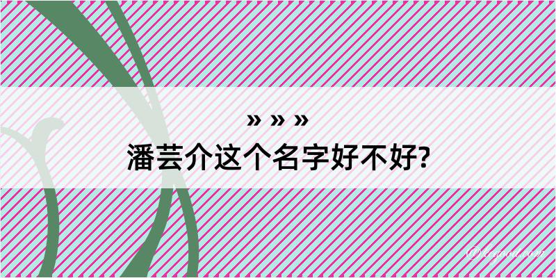 潘芸介这个名字好不好?