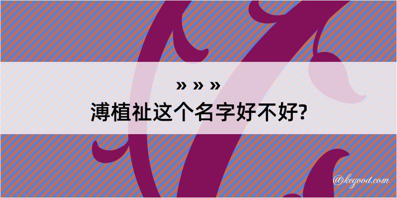 溥植祉这个名字好不好?