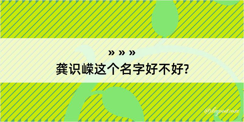 龚识嵘这个名字好不好?