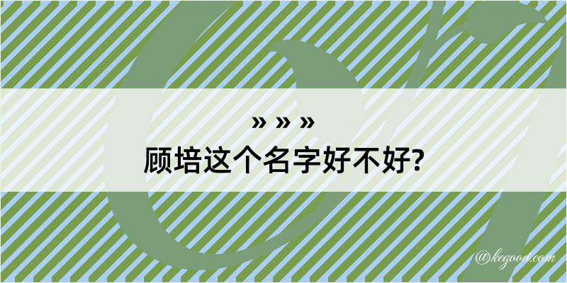 顾培这个名字好不好?