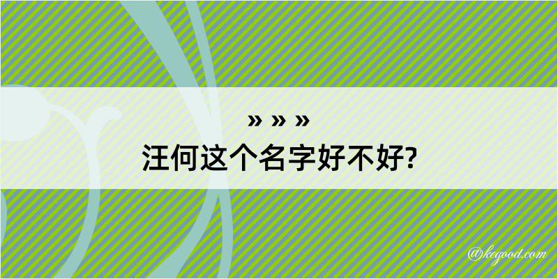 汪何这个名字好不好?