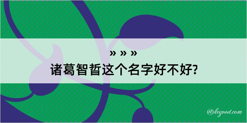 诸葛智晢这个名字好不好?