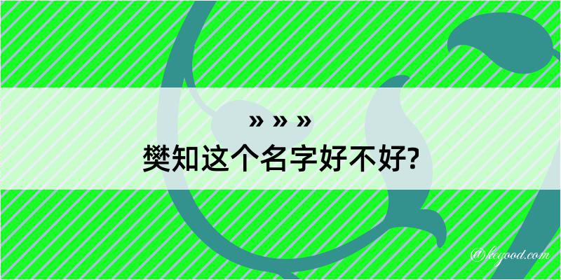 樊知这个名字好不好?