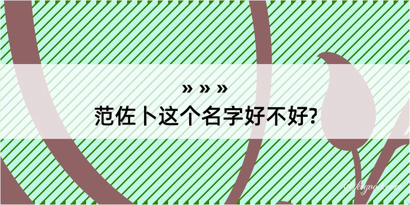 范佐卜这个名字好不好?