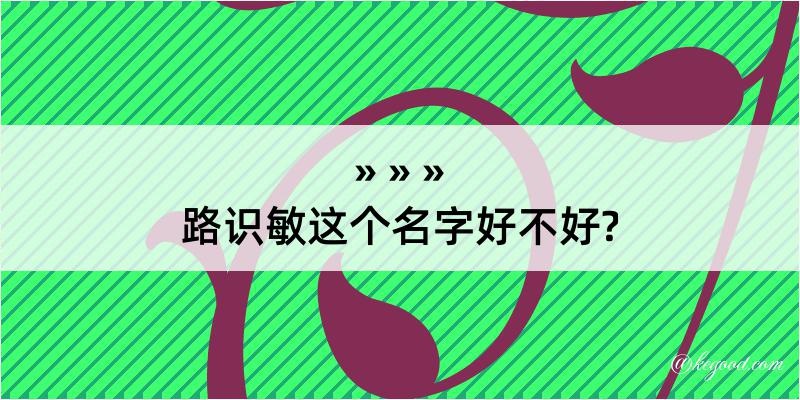 路识敏这个名字好不好?