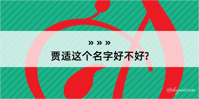 贾适这个名字好不好?