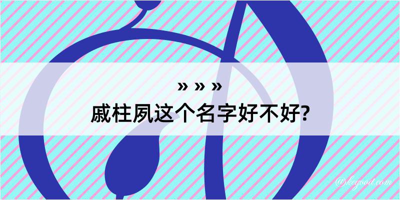 戚柱夙这个名字好不好?