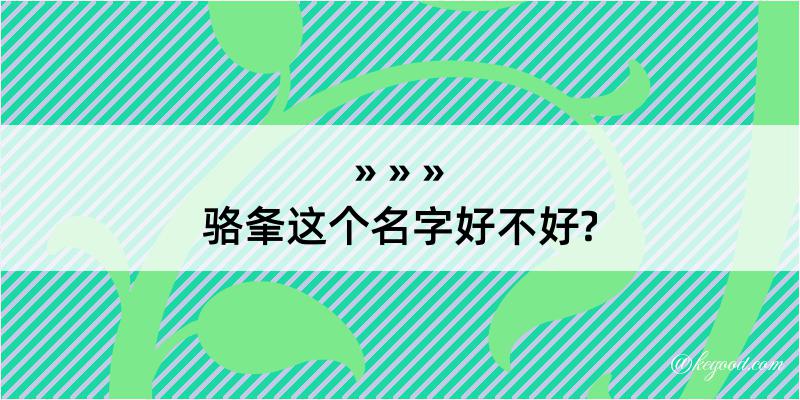 骆夆这个名字好不好?