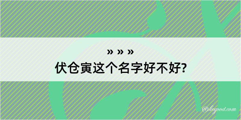 伏仓寅这个名字好不好?