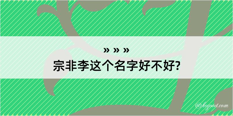 宗非李这个名字好不好?