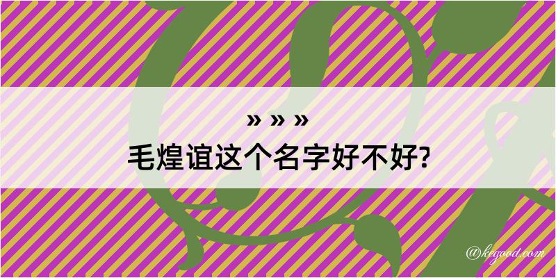 毛煌谊这个名字好不好?