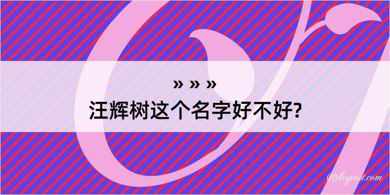 汪辉树这个名字好不好?