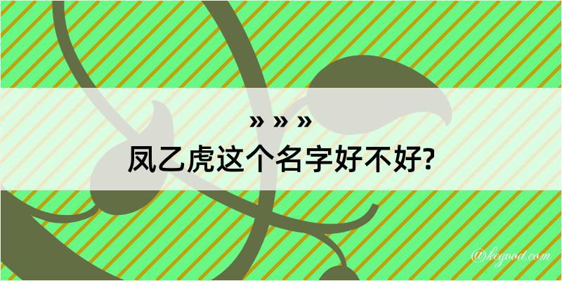 凤乙虎这个名字好不好?