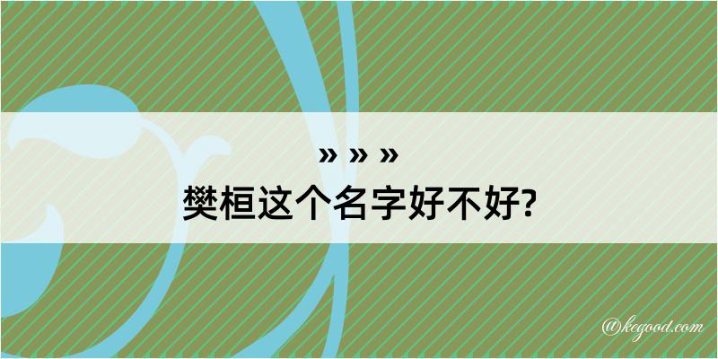 樊桓这个名字好不好?