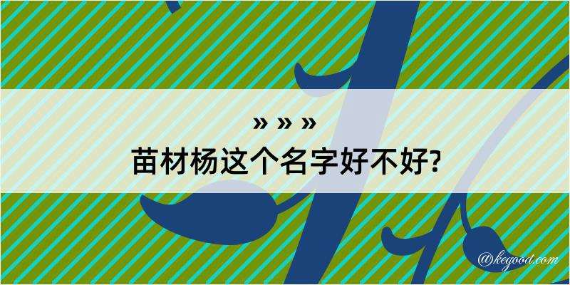 苗材杨这个名字好不好?