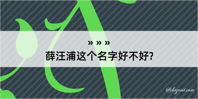 薛汪浦这个名字好不好?