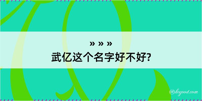 武亿这个名字好不好?