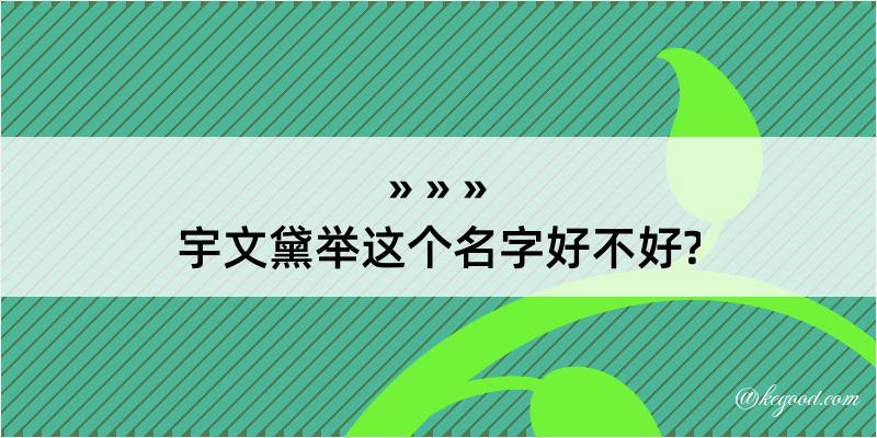 宇文黛举这个名字好不好?