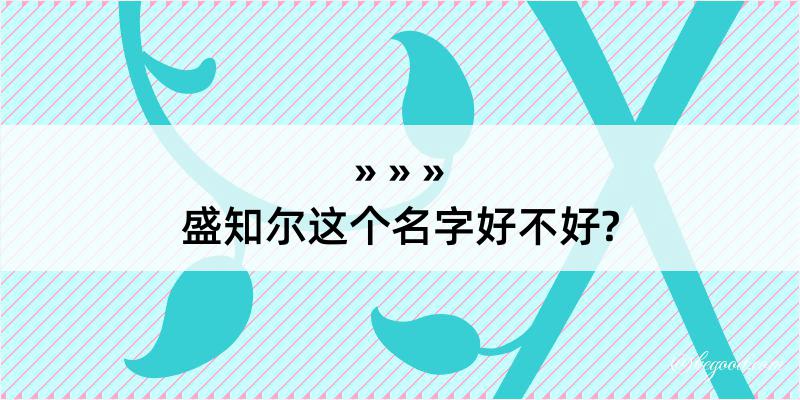 盛知尔这个名字好不好?