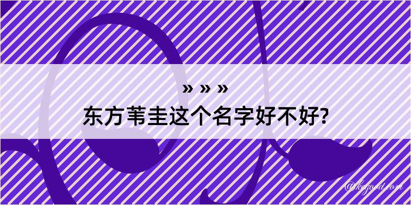 东方苇圭这个名字好不好?