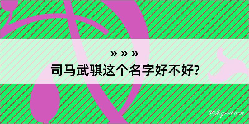 司马武骐这个名字好不好?