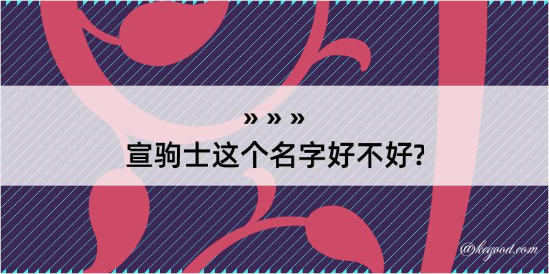 宣驹士这个名字好不好?