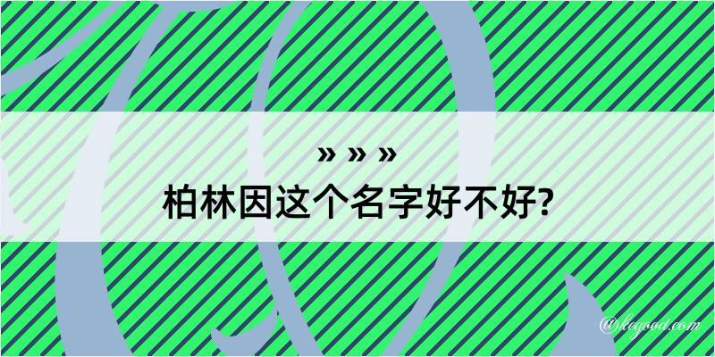 柏林因这个名字好不好?