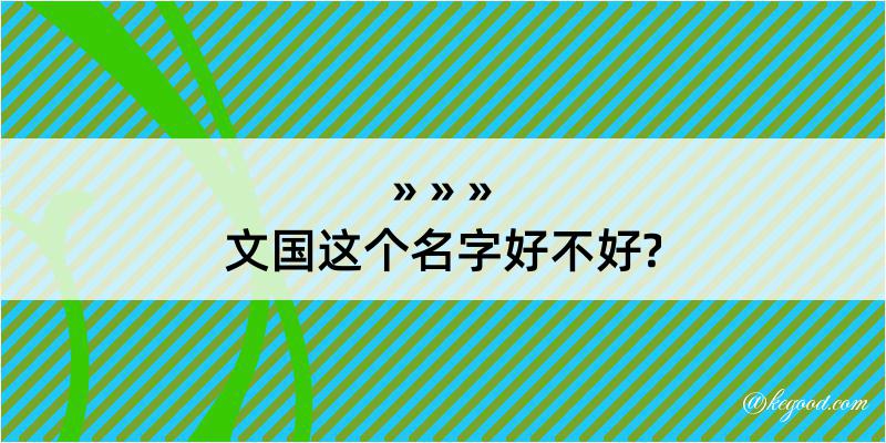 文国这个名字好不好?