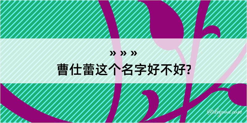 曹仕蕾这个名字好不好?