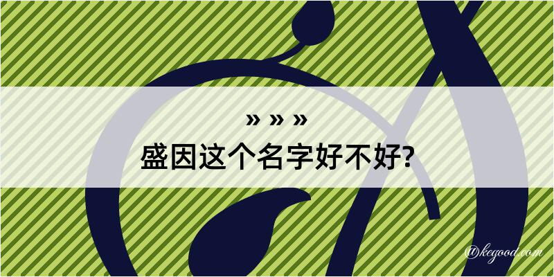 盛因这个名字好不好?