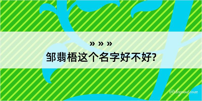 邹翡梧这个名字好不好?