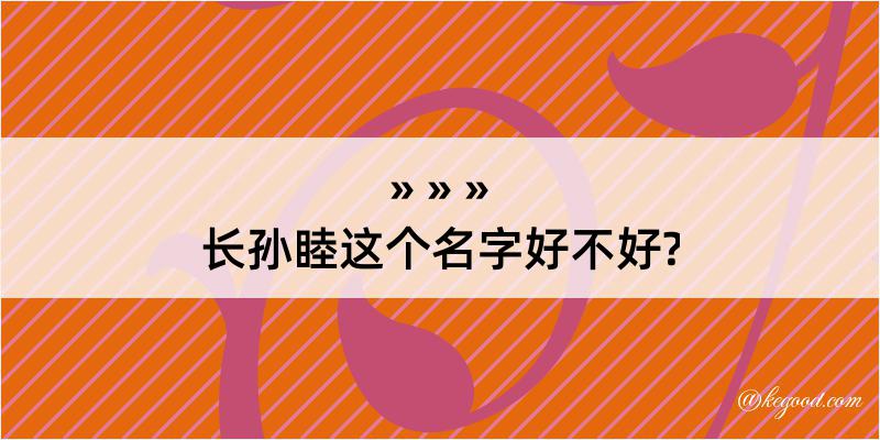 长孙睦这个名字好不好?