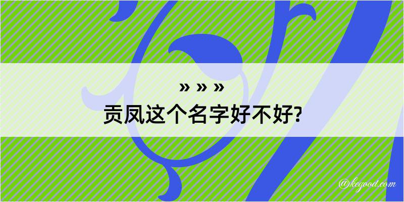 贡凤这个名字好不好?