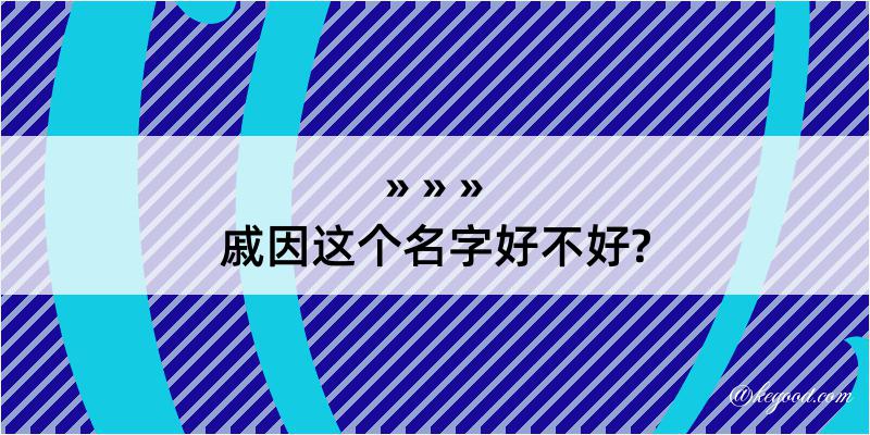 戚因这个名字好不好?